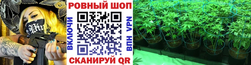 Купить закладку ГАШИШ  МАРИХУАНА  Псилоцибиновые грибы  Мефедрон  Астрахань