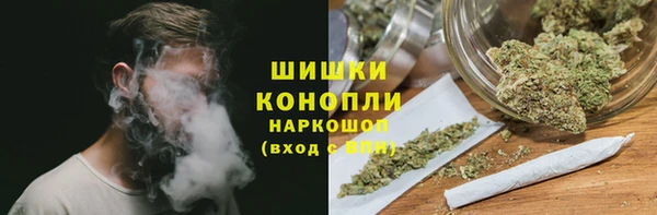 spice Заводоуковск
