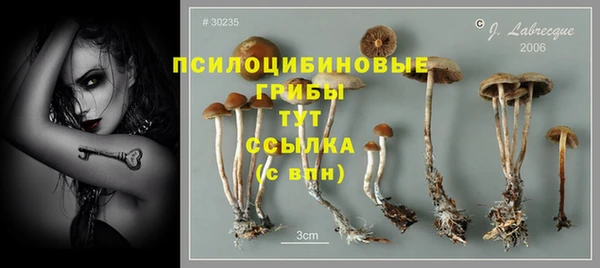 экстази Заволжск