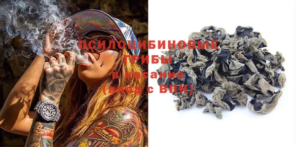 spice Заводоуковск