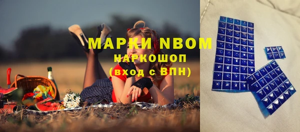 амф Заволжье