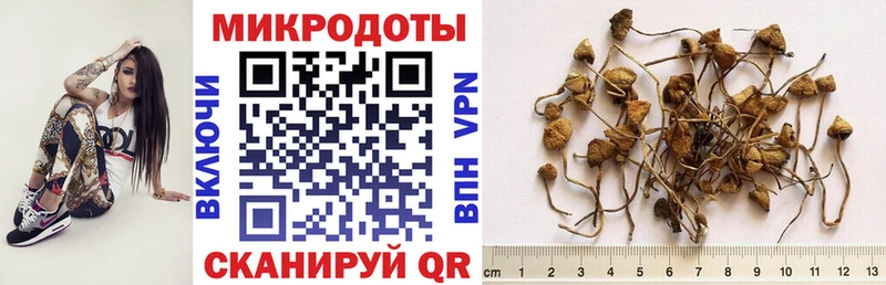 Купить  Астрахань  Галлюциногенные грибы ЛСД 