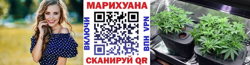 Купить  Астрахань  МАРИХУАНА VHQ 